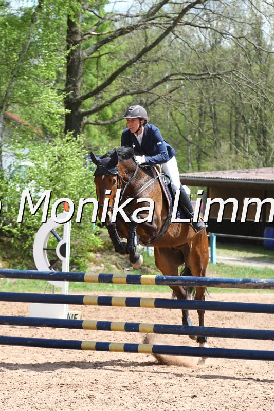 004M2128_Lando_Punkte L m. Joker.JPG